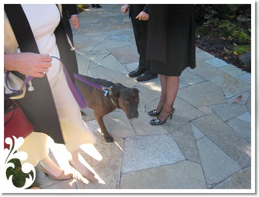 2007NovThanksgivingandRickWedding 062